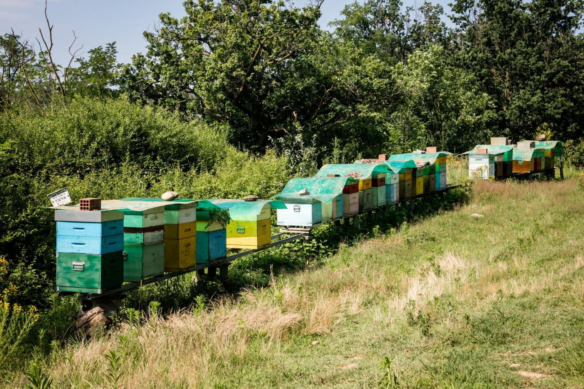 Agriturismo Parco Campofelice Lombardore Zewnętrze zdjęcie