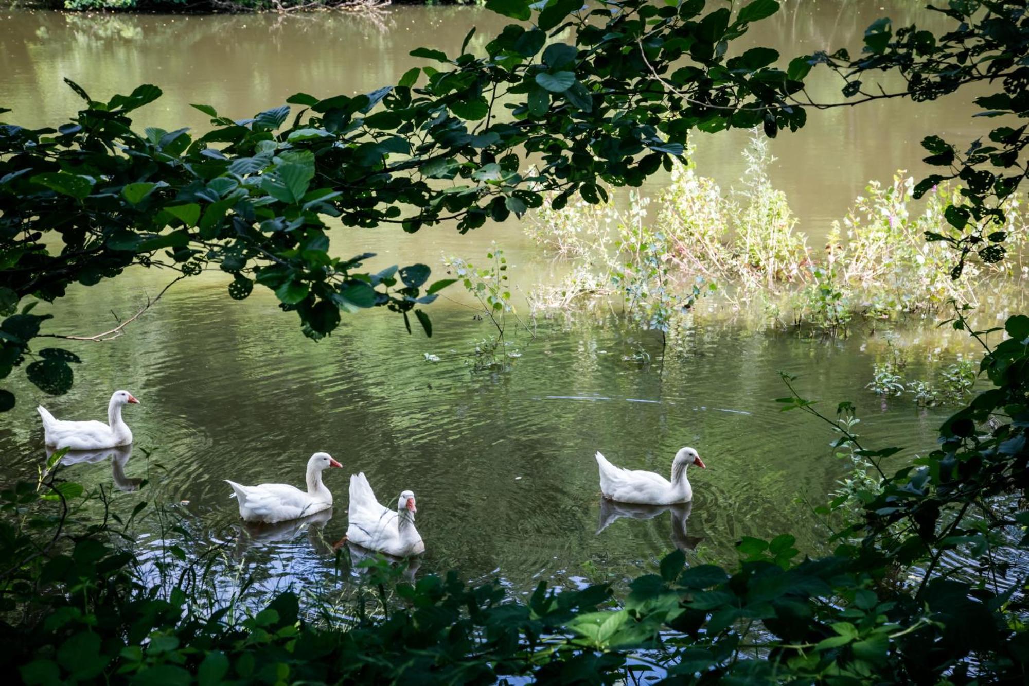 Agriturismo Parco Campofelice Lombardore Zewnętrze zdjęcie