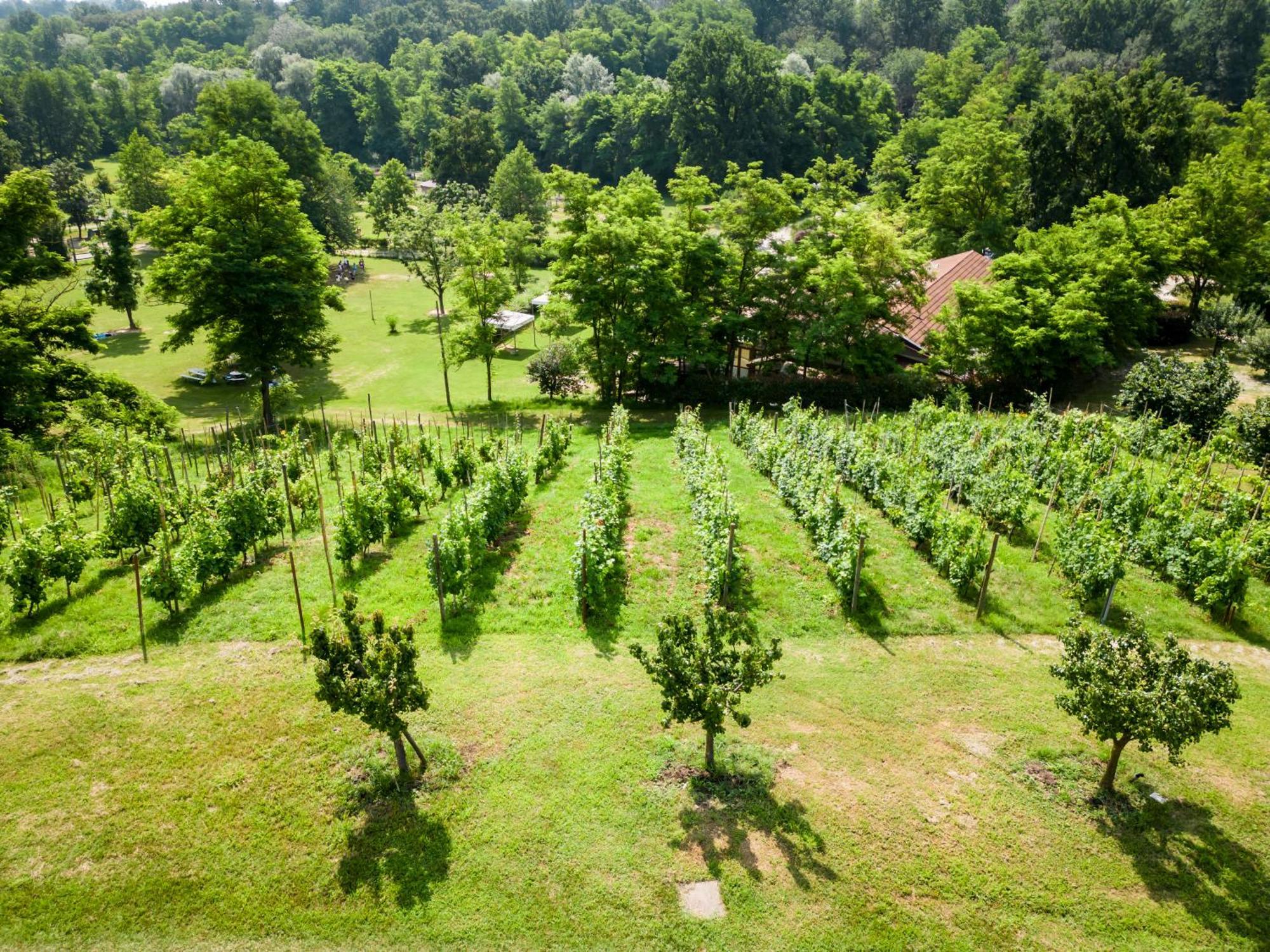 Agriturismo Parco Campofelice Lombardore Zewnętrze zdjęcie